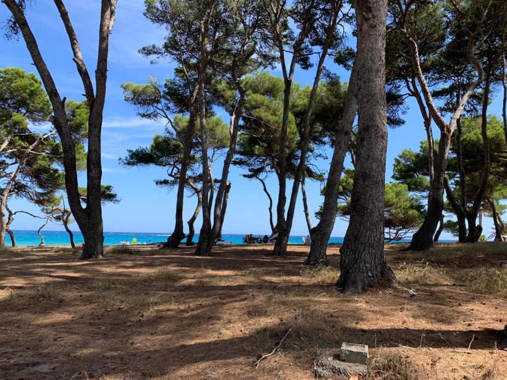 Canyamel Apt 3A Cala Varques 100 Mts From Canyamel Beach Pool Chill-Out Terrace With Awesome Views מראה חיצוני תמונה
